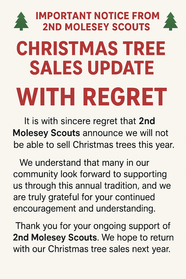 2m_no_sale